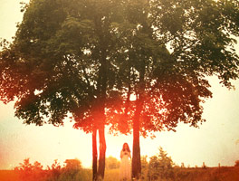 网页在线DDOS压力测试