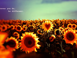 微信自动发卡的自动攻击网站工具下载